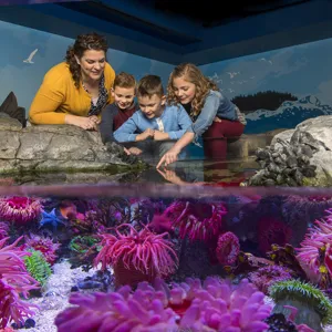 Family at SEA LIFE TOUCH POOL