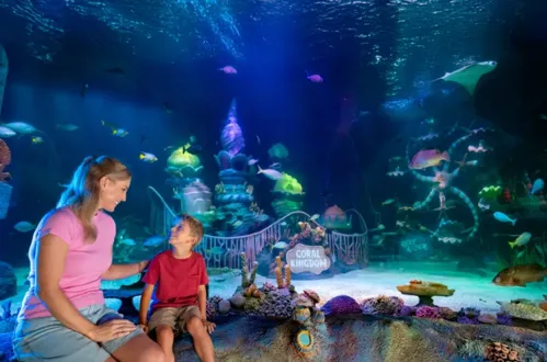 SEA LIFE Florida