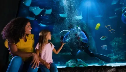 SEA LIFE Orlando Aquarium