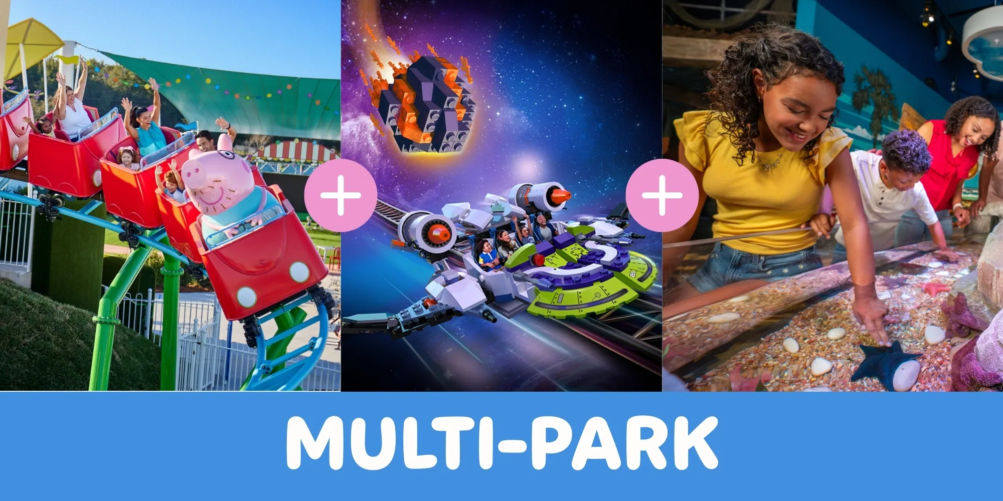 Web Decoy Multi Park PPTP